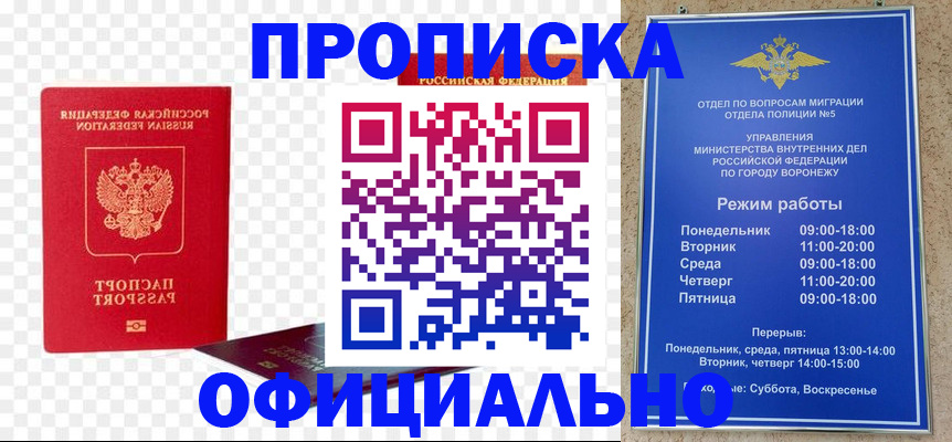 прописка иностранных граждан в Шумихе